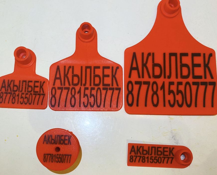 Ушные бирки танба малга сиыр кой