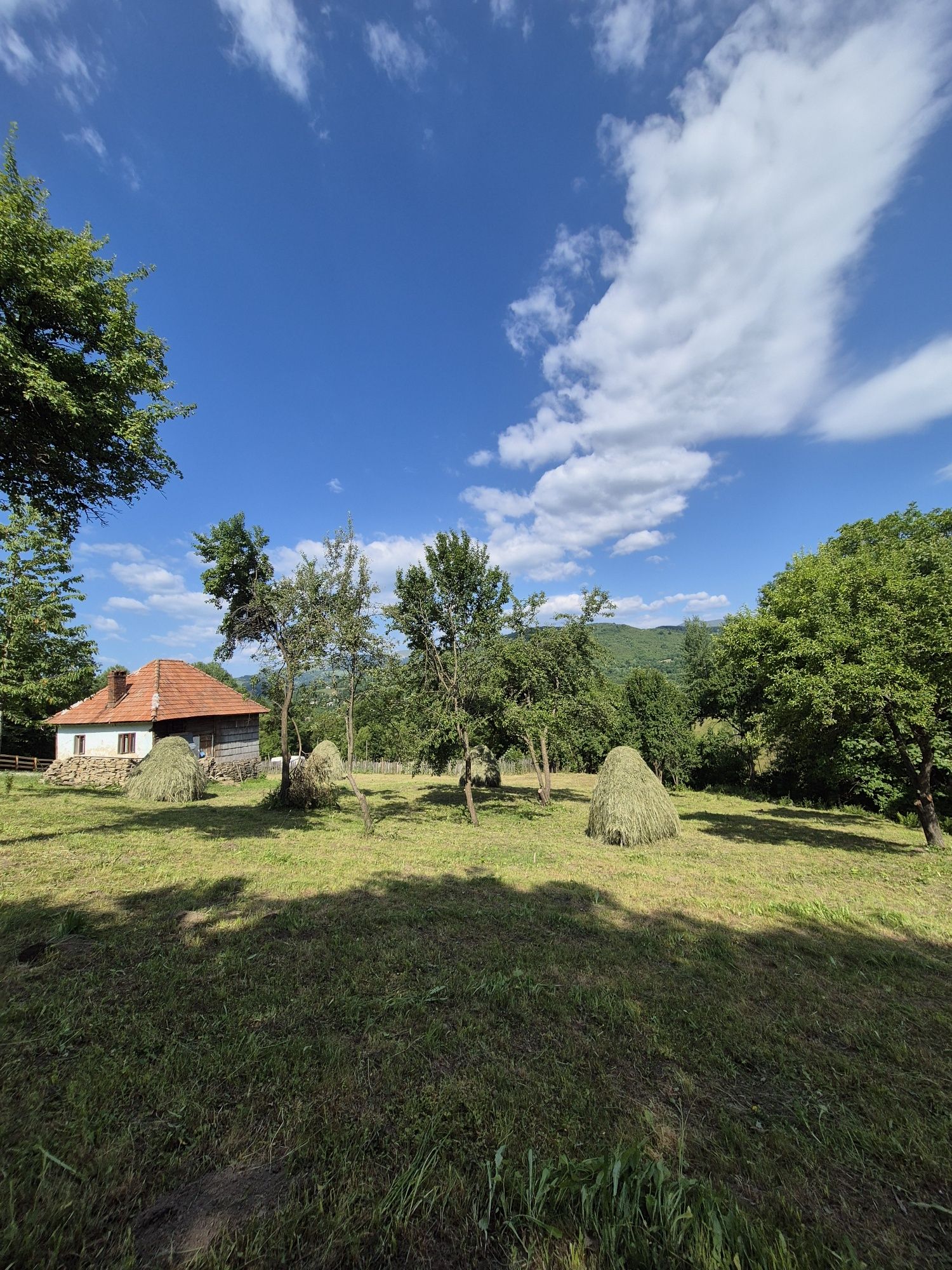 Vand teren parcelabil + casa traditionala in Valea Doftanei