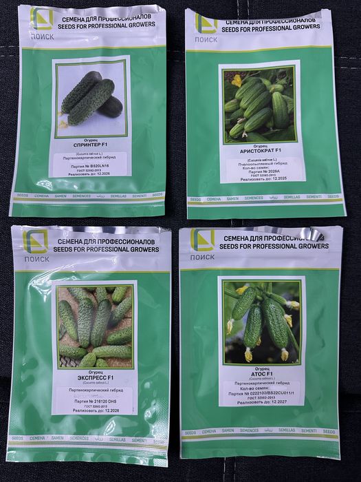 Профессионалтные семена Поиск