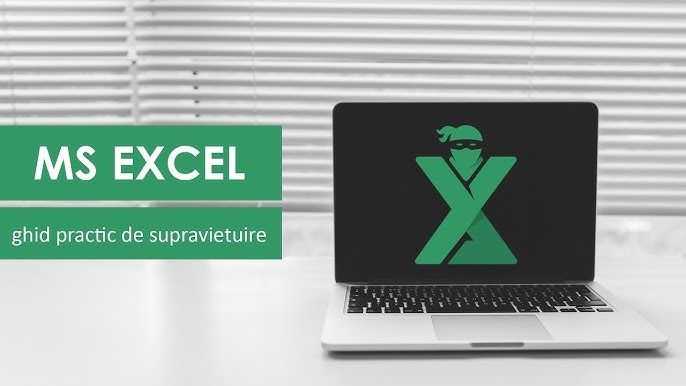 Meditatie, proiecte Excel si Word