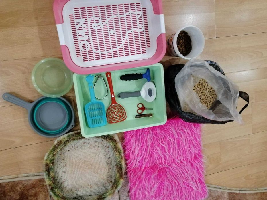 аксессуары для ухода за кошкой