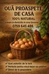 Vând Ouă de casă