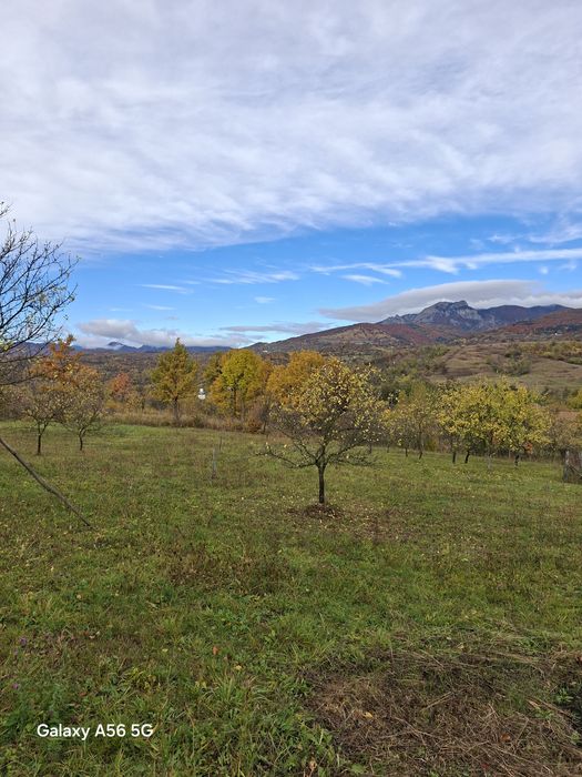 URGENT .Teren de vanzare Berislavesti