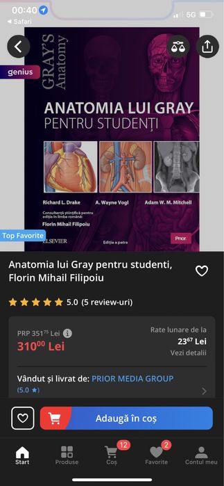 Anatomia lui Grey