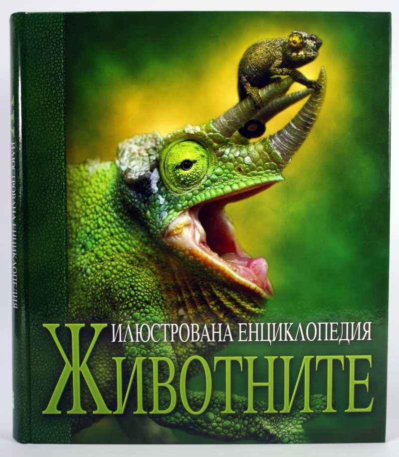 Музикални играчки и книги, стари книжки Мечото семейство