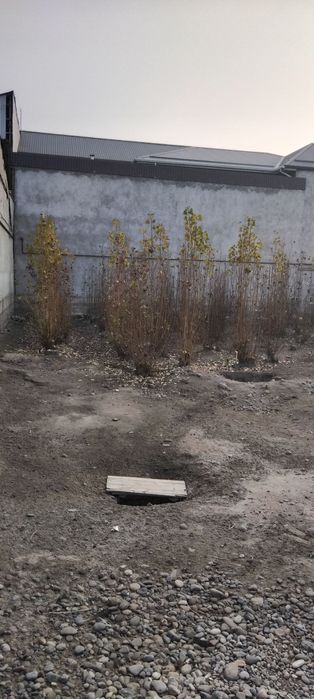 Тулабой янги масжид йонидан кирганда зарибдор 1 чи кучада 6 сутих йер