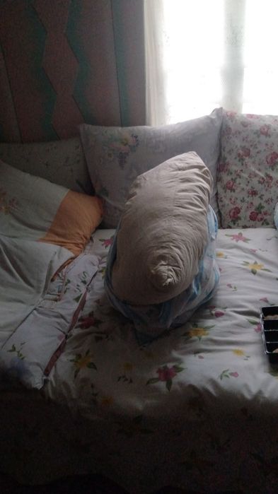 Am perie de vânzare de PN 50 RON