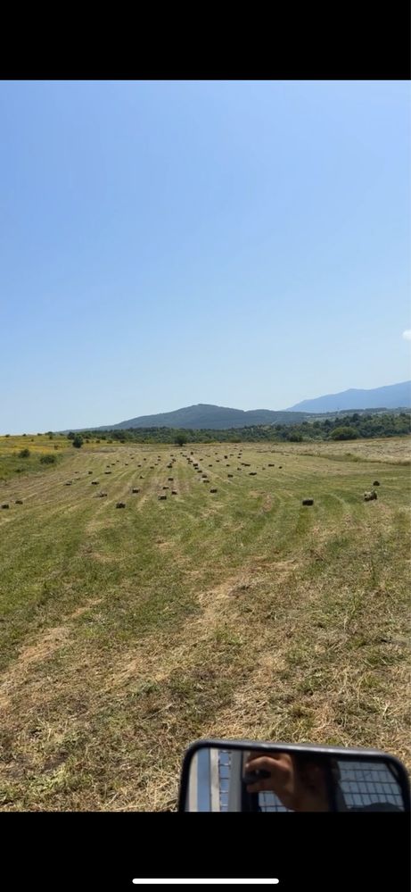 Бали ливадно сено