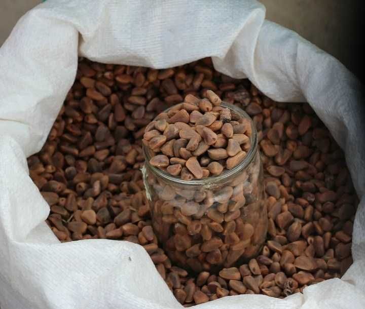 Орех кедровый урожай 2021 сухой,крупный