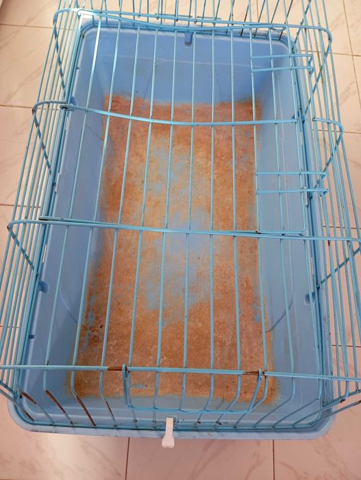 Клетки за гризачи