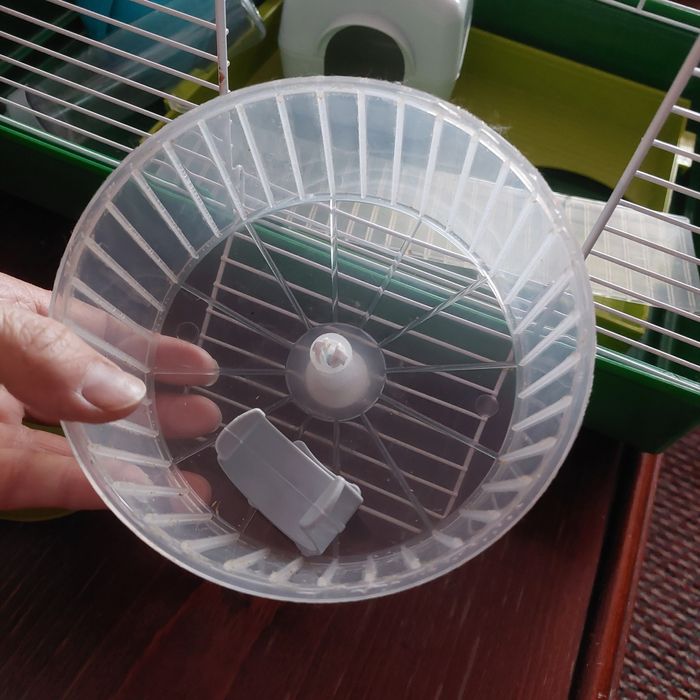 Cusca hamsteri , rozatoare