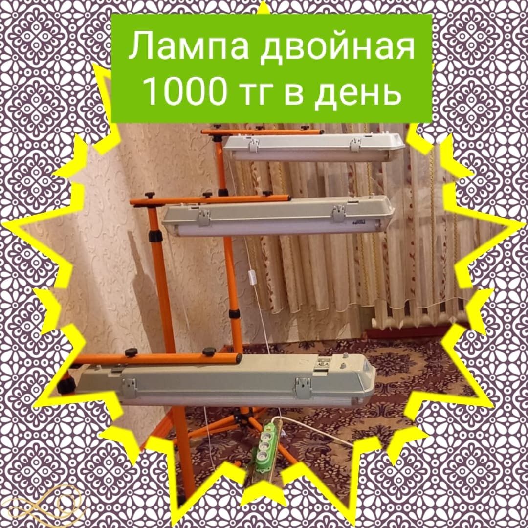 Фотолампа 1000тг в день!Есть доставка