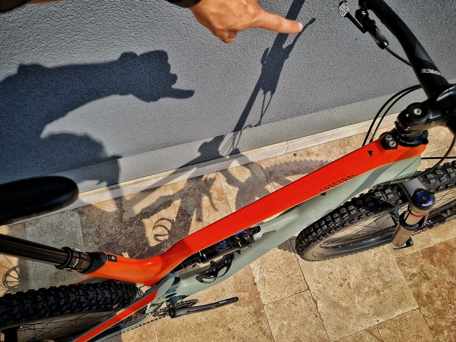 Canyon Spectral Carbon L