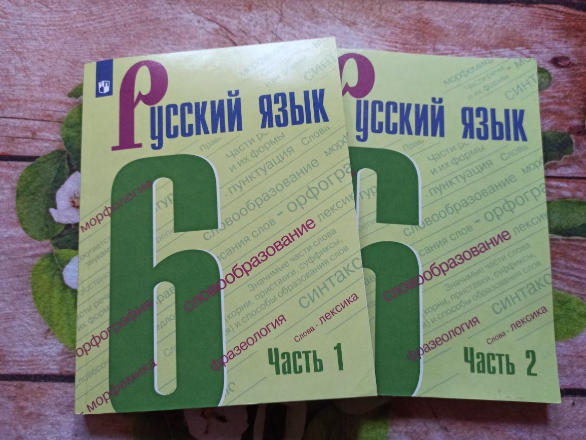 Русский язык 6 кл Ладыженская в 2х частях