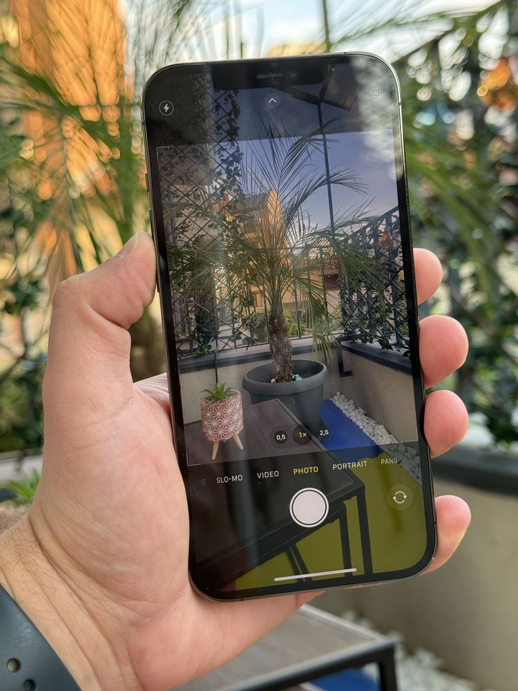 iPhone 12 Pro Max – Graphite, 256 GB