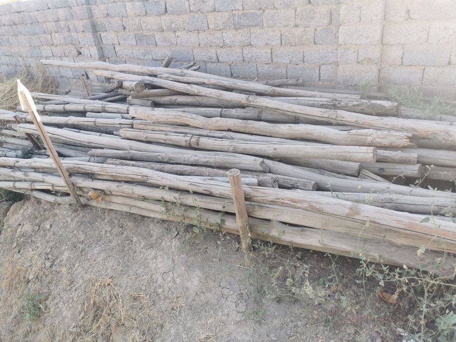 Кругляктар бар әр турлы