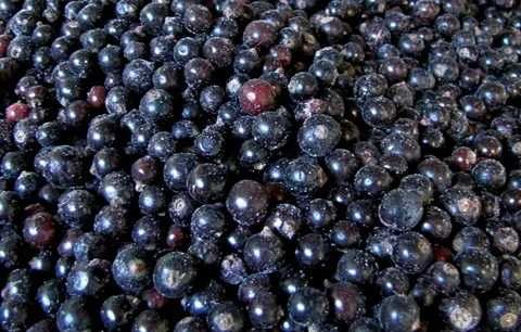 Смородина черная  замороженная  дачная, местная