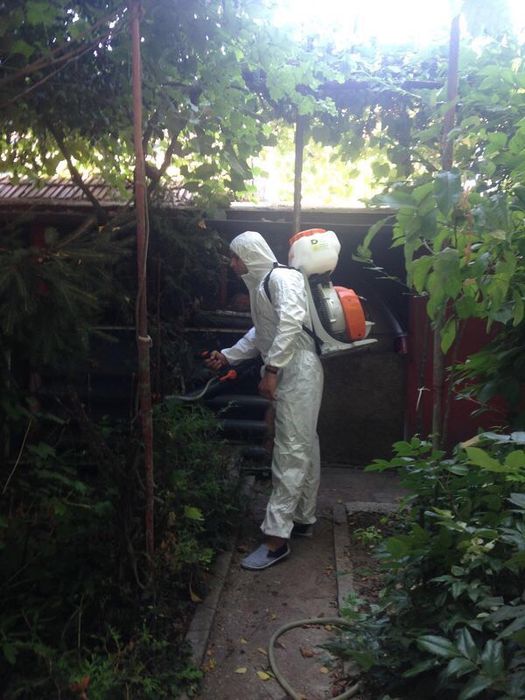 Dezinsectie, Dezinfectie si Deratizare