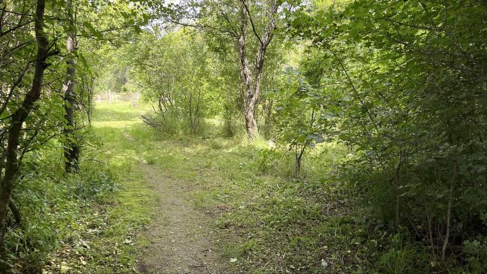 Поземлен имонт в Карлово местност Яса Тепе