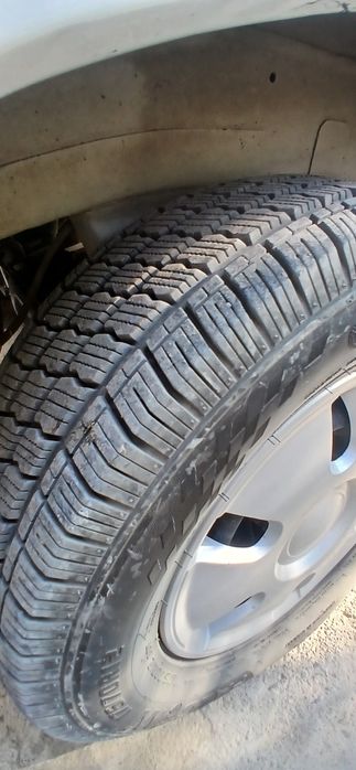 Damas 2024 tex pasport