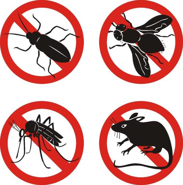 Дезинфекция Уничтожение тараканов клопов муравьев крыс клещей комаров