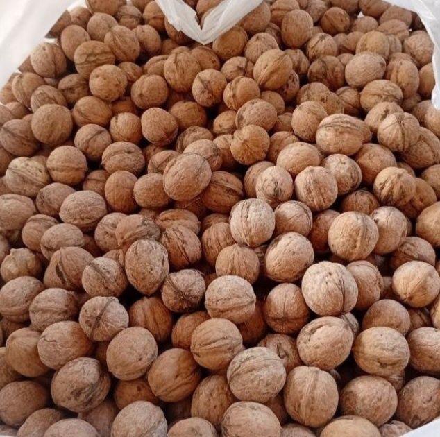 Грецкий орех, с Текели, урожай 2025 года.