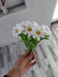 Aranjamente florale