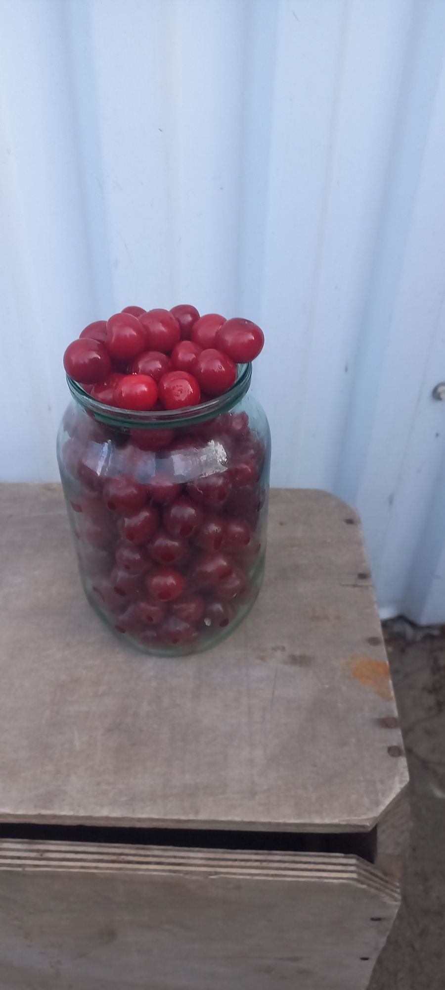 Садовая Вишня...