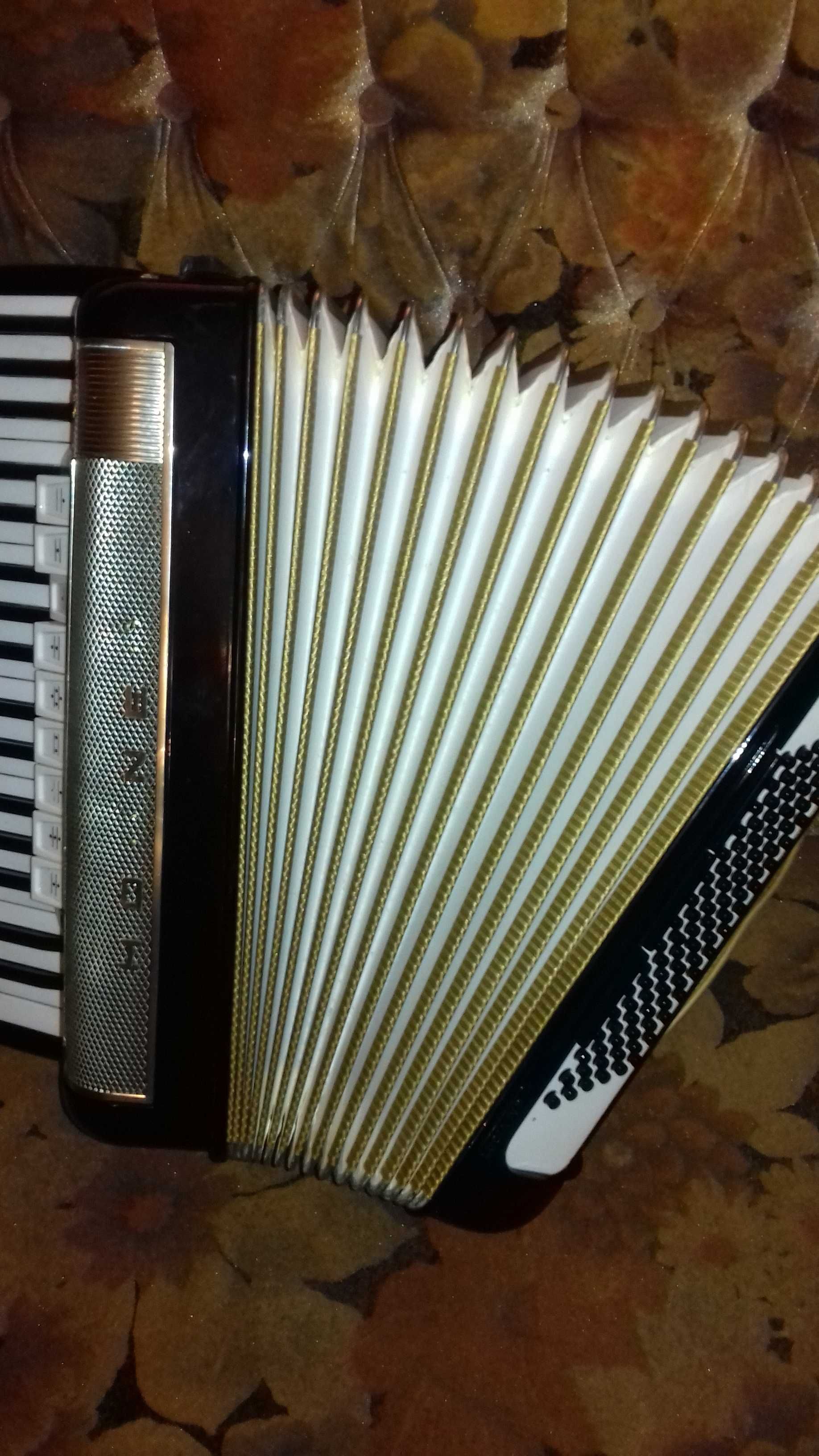 Acordeoane Hohner