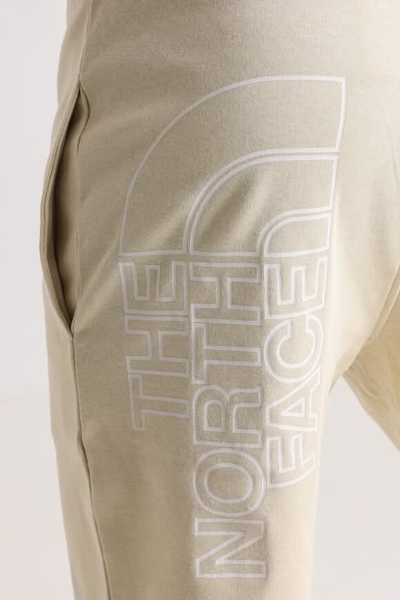 Мъжки спортни панталони The north face