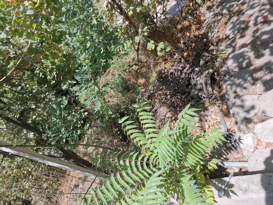 Продаётся участок 3.8сот. Гагарина Налоговый в центре города под слом