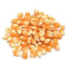 Floricele de porumb pentru popcorn,natural fara chimicale,12 lei/kg
