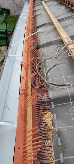 Американски безшевни улуци