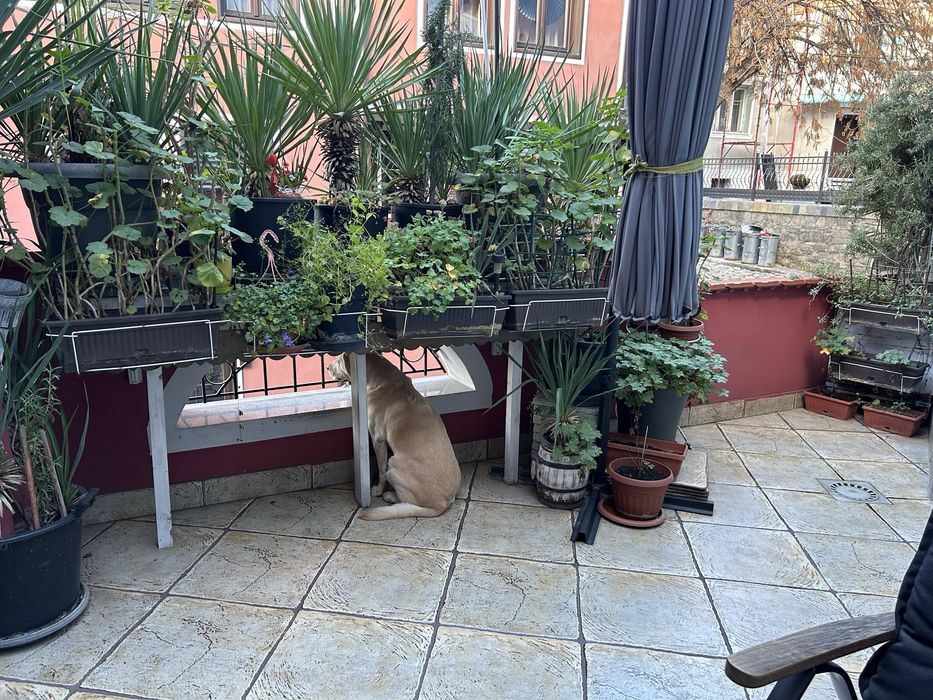 Продава се Къща в Пловдив, Старият град - 160 кв.м за 6125 €/кв.м - Снимка #5