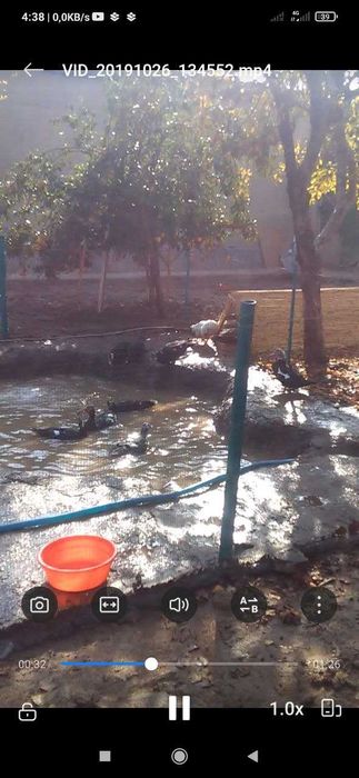 Hovlili 5-xona uy sotiladi yer maydoni (6+7) stux