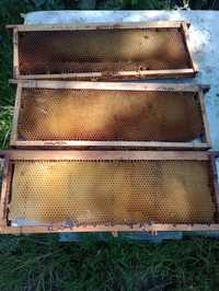 Изградени магазински пчелни рамки