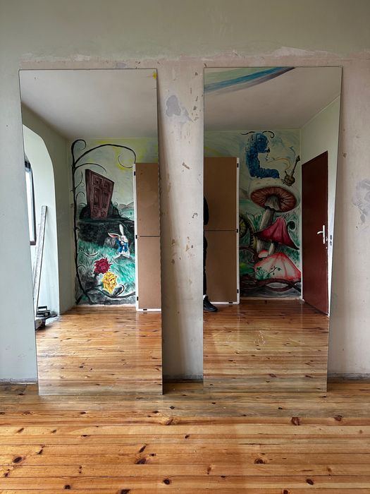 Две големи огледала по  90см/200см всяко