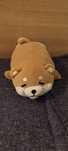 Miniso Plus Shiba Inu