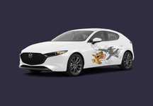 Stickere Auto Personalizate - Stickere laterale