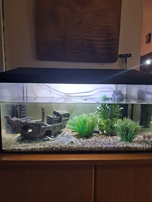 Acvariu Aquael LEDDY PLUS 54 L