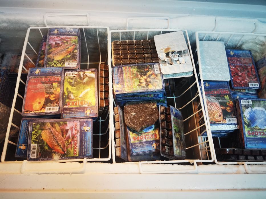 Hrana congelata cyclop