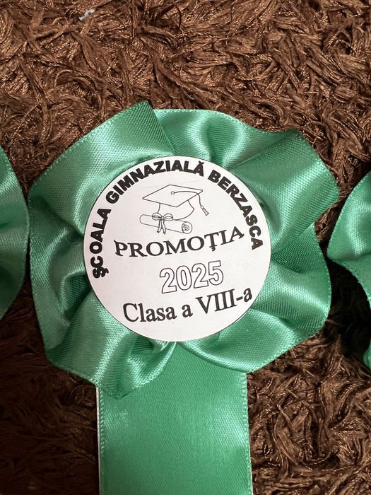 Panglici/ cocarde clasa a 4 a si a 8 a