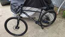 Specialized Rockhopper L 29"