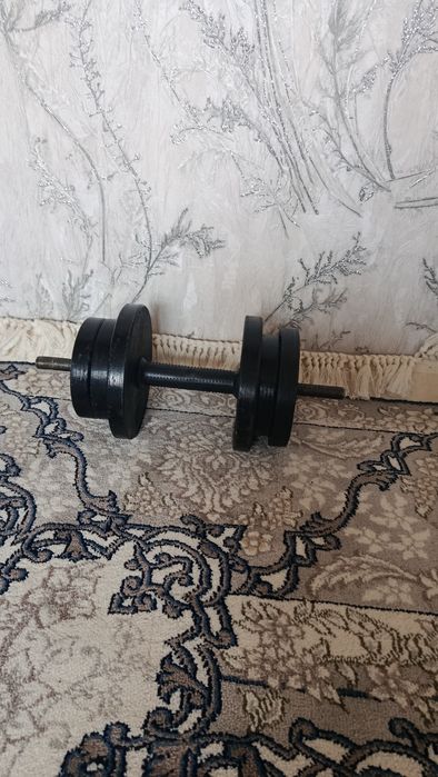 Gantel, 12 kg, 6 toshli