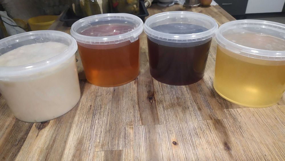 Miere mana, salcam, poliflora, rapita