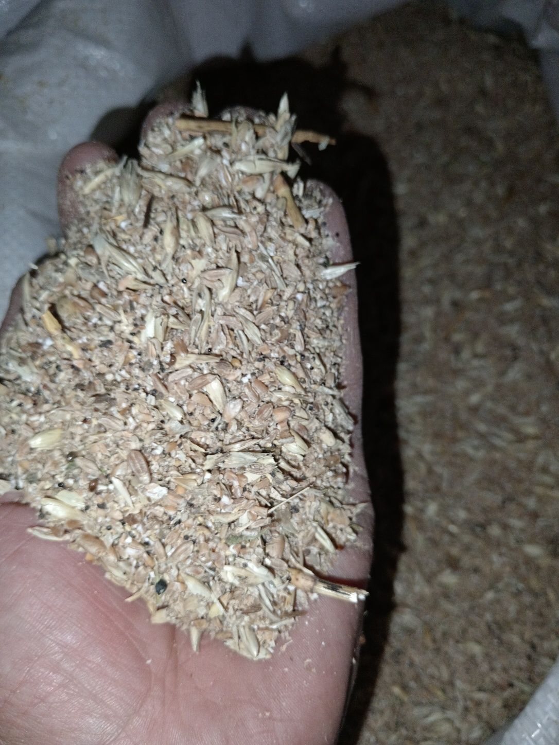 Bug‘doyli Sechkalarimiz optim narh