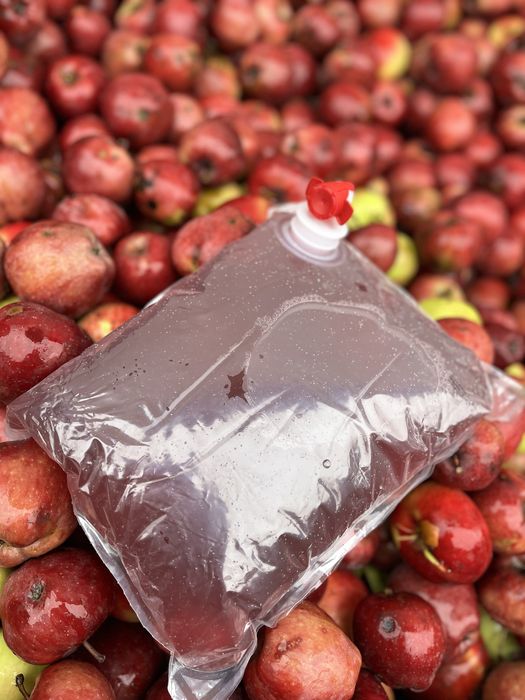 Suc de mere si mere!!