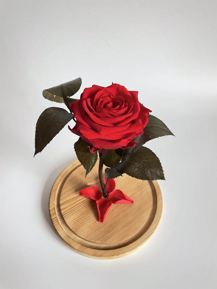 Роза в колбе Deja Vu Rose 27 см. Подарок на 8 марта. Подарок жене.