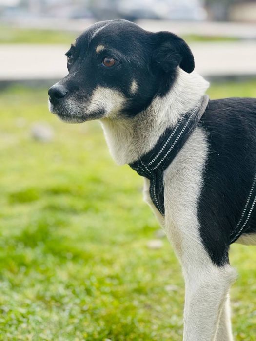 Малышка ищет дом и семью!