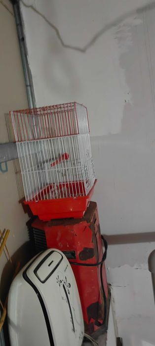 Клетка для попугая